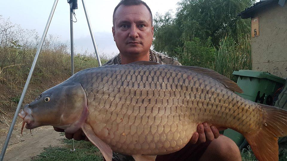 C&R - 413715924803526091058473658008802596225024n1.jpg